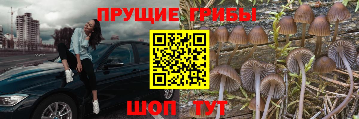 Галлюциногенные грибы MAGIC MUSHROOMS Ялта